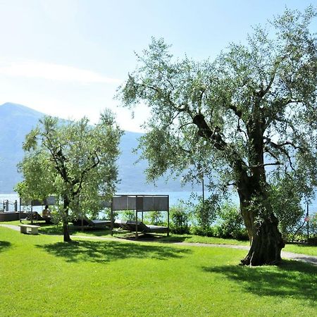 Torre Degli Ulivi Bed and Breakfast Tignale Εξωτερικό φωτογραφία