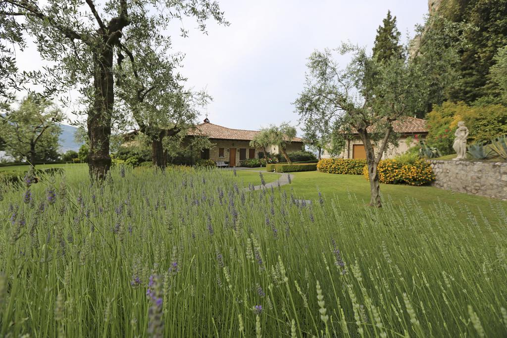 Torre Degli Ulivi Bed and Breakfast Tignale Εξωτερικό φωτογραφία
